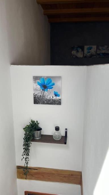 Ca La Trini Vivienda Vacacional Nava Zewnętrze zdjęcie
